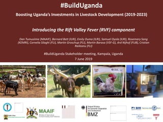 #BuildUganda
Boosting Uganda’s Investments in Livestock Development (2019-2023)
Introducing the Rift Valley Fever (RVF) component
Dan Tumusiime (MAAIF), Bernard Bett (ILRI), Emily Ouma (ILRI), Samuel Oyola (ILRI), Rosemary Sang
(KEMRI), Cornelia Silaghi (FLI), Martin Groschup (FLI), Martin Barasa (VSF-G), Ard Nijhof (FUB), Cristian
Raileanu (FLI)
#BuildUganda Stakeholder meeting, Kampala, Uganda
7 June 2019
 