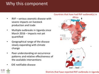 Boosting Uganda’s Investments in Livestock Development (2019-2023): Introducing the Rift Valley Fever (RVF) component 