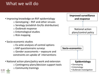 Boosting Uganda’s Investments in Livestock Development (2019-2023): Introducing the Rift Valley Fever (RVF) component 