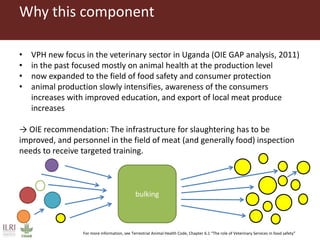Boosting Uganda’s Investments in Livestock Development (2019-2023): Introducing the Veterinary Public Health (VPH) component 