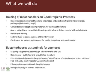 Boosting Uganda’s Investments in Livestock Development (2019-2023): Introducing the Veterinary Public Health (VPH) component 