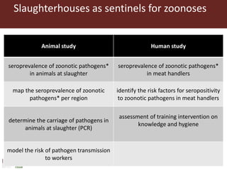 Boosting Uganda’s Investments in Livestock Development (2019-2023): Introducing the Veterinary Public Health (VPH) component 