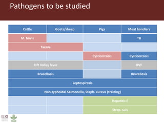 Boosting Uganda’s Investments in Livestock Development (2019-2023): Introducing the Veterinary Public Health (VPH) component 