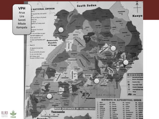 Boosting Uganda’s Investments in Livestock Development (2019-2023): Introducing the Veterinary Public Health (VPH) component 