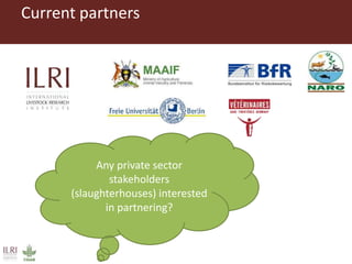 Boosting Uganda’s Investments in Livestock Development (2019-2023): Introducing the Veterinary Public Health (VPH) component 