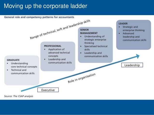 build your career as a professional accountant ppt