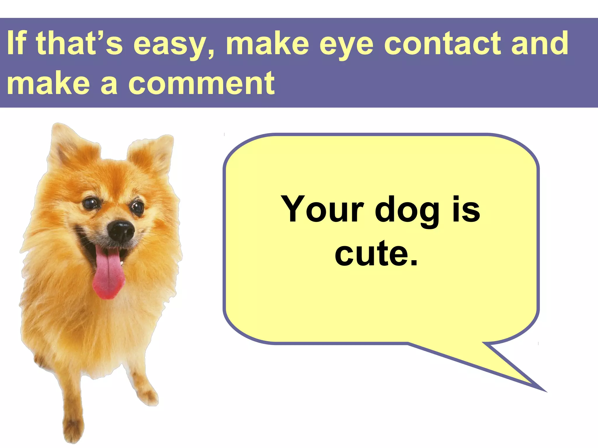If that’s easy, make eye contact and
make a comment


                 Your dog is
                   cute.
 