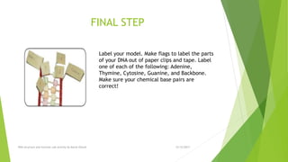 FINAL STEP
12/12/2017DNA structure and function Lab activity by Murat Ozturk
Label your model. Make flags to label the parts
of your DNA out of paper clips and tape. Label
one of each of the following: Adenine,
Thymine, Cytosine, Guanine, and Backbone.
Make sure your chemical base pairs are
correct!
 