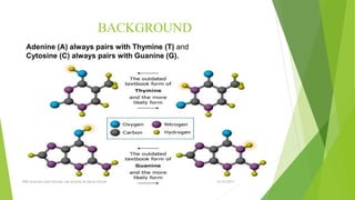 BACKGROUND
Adenine (A) always pairs with Thymine (T) and
Cytosine (C) always pairs with Guanine (G).
12/12/2017DNA structure and function Lab activity by Murat Ozturk
 