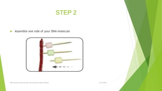 STEP 2
 Assemble one side of your DNA molecule
12/12/2017DNA structure and function Lab activity by Murat Ozturk
 