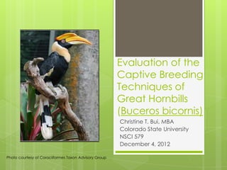 Evaluation of the
                                                       Captive Breeding
                                                       Techniques of
                                                       Great Hornbills
                                                       (Buceros bicornis)
                                                       Christine T. Bui, MBA
                                                       Colorado State University
                                                       NSCI 579
                                                       December 4, 2012

Photo courtesy of Coraciiformes Taxon Advisory Group
 