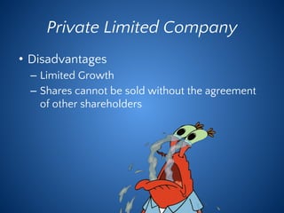 Private Limited Company
• Disadvantages
– Limited Growth
– Shares cannot be sold without the agreement
of other shareholders
 