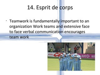 14. Esprit de corps Teamwork is fundamentally important to an organization Work teams and extensive face to face verbal communication encourages team work  