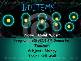 BUITEMS
Name: Abdul Muqsit
Program: BS(BIO) 1st Semester
Teacher:
Subject: Biology
Topic: Cell Wall

 
