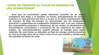 *COMO SE PRODUCE EL FLUJO DE ENERGIA EN
LOS ECOSISTEMAS?
 Para que un ecosistema pueda funcionar, necesita de un aporte
energético que llega a la biosfera en forma, principalmente de energía
lumínica, la cual proviene del Sol y a la que se le llama comúnmente flujo
de energía. El flujo de energía es aprovechado por los productores
primarios u organismos de compuestos orgánicos que, a su vez, utilizarán
los consumidores primarios o herbívoros, de los cuales se alimentarán los
consumidores secundarios o carnívoros. De los cadáveres de todos los
grupos, los descomponedores podrán obtener la energía para lograr
subsistir. De esta forma se obtendrá un flujo de energía unidireccional en
el cual la energía pasa de un nivel a otro en un solo sentido y siempre con
una pérdida en forma de calor.
 