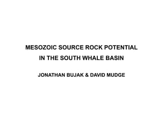 MESOZOIC SOURCE ROCK POTENTIAL
IN THE SOUTH WHALE BASIN
JONATHAN BUJAK & DAVID MUDGE
 