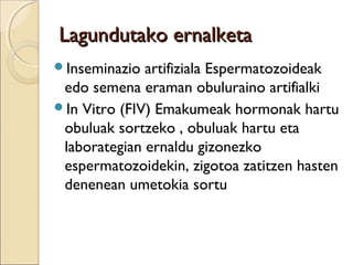 Lagundutako ernalketaLagundutako ernalketa
Inseminazio artifiziala Espermatozoideak
edo semena eraman obuluraino artifialki
In Vitro (FIV) Emakumeak hormonak hartu
obuluak sortzeko , obuluak hartu eta
laborategian ernaldu gizonezko
espermatozoidekin, zigotoa zatitzen hasten
denenean umetokia sortu
 