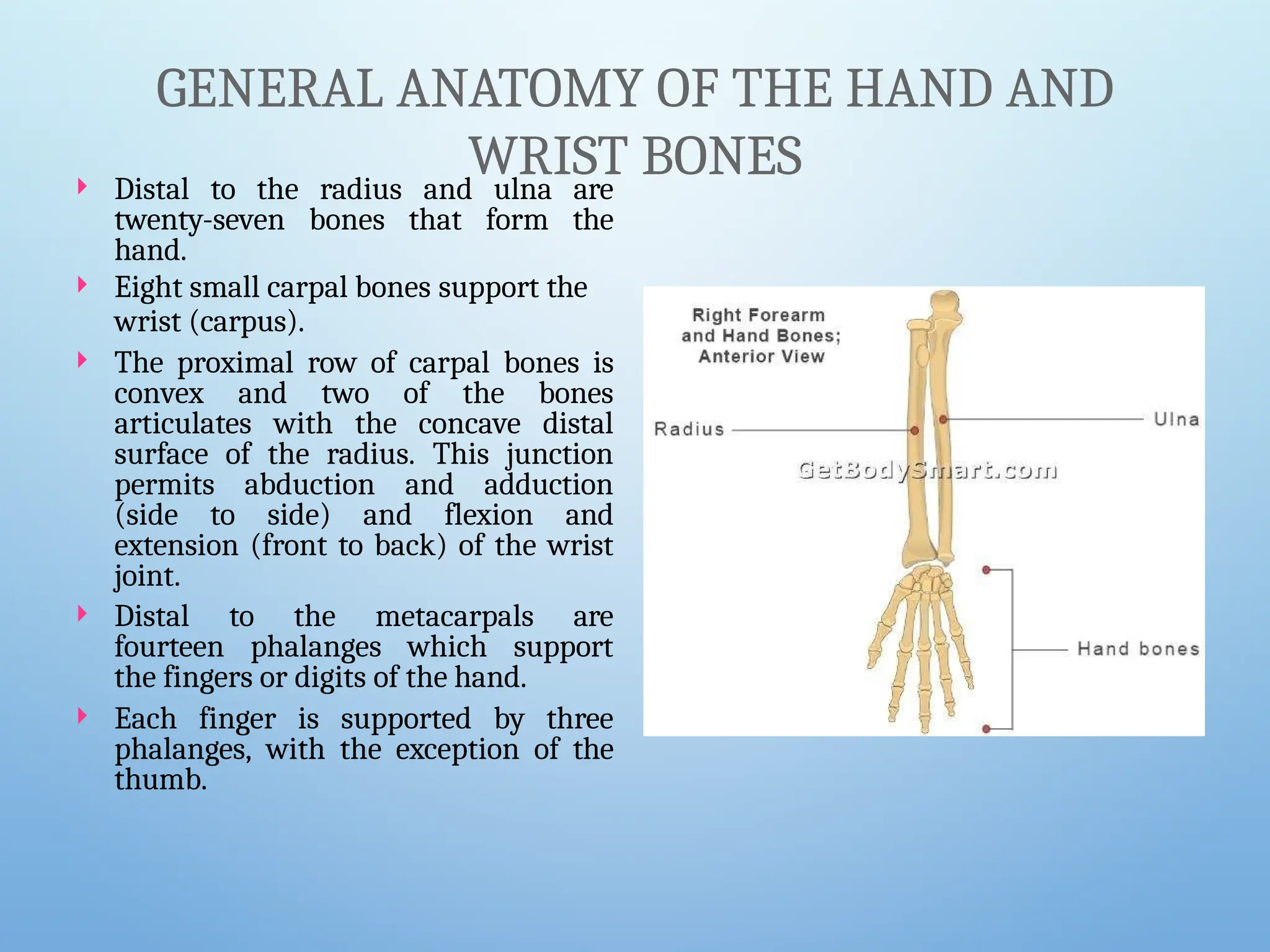bones hyland nba jersey