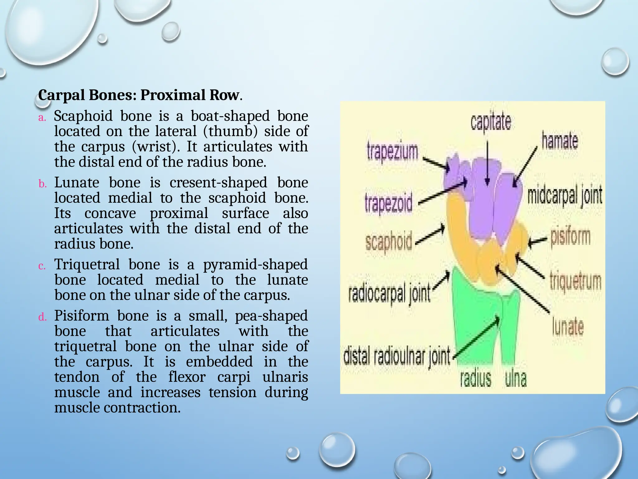 bones hyland nba jersey