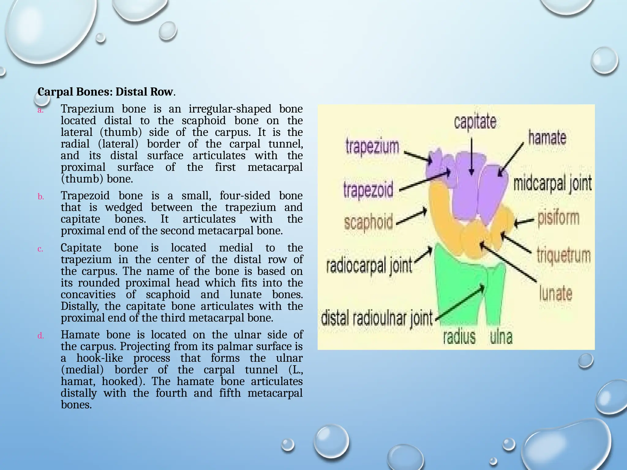 bones hyland nba jersey