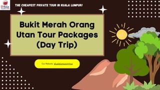 Bukit Merah Orang
Utan Tour Packages
(Day Trip)
Our Website: @kualalumpurcitytour
The cheapest private tour in Kuala Lumpur!
 
