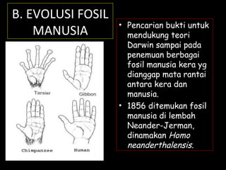 • Pencarian bukti untuk
mendukung teori
Darwin sampai pada
penemuan berbagai
fosil manusia kera yg
dianggap mata rantai
antara kera dan
manusia.
• 1856 ditemukan fosil
manusia di lembah
Neander-Jerman,
dinamakan Homo
neanderthalensis.
B. EVOLUSI FOSIL
MANUSIA
 