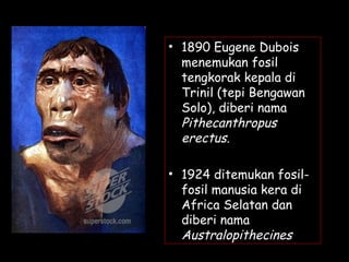 • 1890 Eugene Dubois
menemukan fosil
tengkorak kepala di
Trinil (tepi Bengawan
Solo), diberi nama
Pithecanthropus
erectus.
• 1924 ditemukan fosil-
fosil manusia kera di
Africa Selatan dan
diberi nama
Australopithecines
 