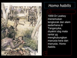 Homo habilis
1959 Dr Leakey
menemukan
tengkorak dan alam
sederhana di
Tanganyika,
diyakini sbg mata
rantai yg
menghubungkan
manusia kera dan
manusia. Homo
habilis.
 