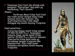 • Penemuan fosil-fosil tsb ditolak oleh
penganut “Penciptaan” sbg bukti yg
mendukung Teori Darwin.
Alasan :
Perkiraan Masa hidup fosil-fosil
tsb tidak sesuai dengan masa hidup
manusia kera dan manusia. Shg
Australopithecines tidak dapat
dianggap sbg nenek moyang H.sapiens.
Hasil penelitian :
H.erectus diduga masih hidup sampai
27.000-53.000 th y.l. Sedangkan
manusia Jawa purba masih hidup
sekitar 30.000 th y.l. Berarti manusia
Jawa purba hidup pada masa yg
bersamaan dengan H.sapiens dan
Neanderthal. Jadi tidak benar
keduanya merupakan nenek moyang
H.sapiens.
 