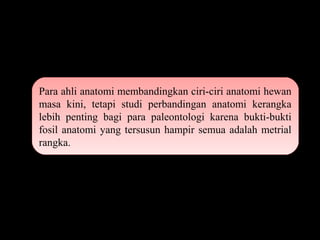 Para ahli anatomi membandingkan ciri-ciri anatomi hewan
masa kini, tetapi studi perbandingan anatomi kerangka
lebih penting bagi para paleontologi karena bukti-bukti
fosil anatomi yang tersusun hampir semua adalah metrial
rangka.
Para ahli anatomi membandingkan ciri-ciri anatomi hewan
masa kini, tetapi studi perbandingan anatomi kerangka
lebih penting bagi para paleontologi karena bukti-bukti
fosil anatomi yang tersusun hampir semua adalah metrial
rangka.
 