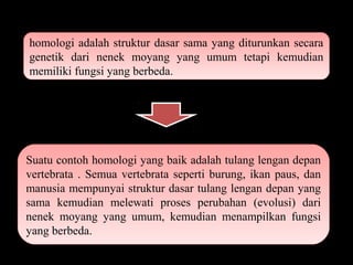 homologi adalah struktur dasar sama yang diturunkan secara
genetik dari nenek moyang yang umum tetapi kemudian
memiliki fungsi yang berbeda.
homologi adalah struktur dasar sama yang diturunkan secara
genetik dari nenek moyang yang umum tetapi kemudian
memiliki fungsi yang berbeda.
Suatu contoh homologi yang baik adalah tulang lengan depan
vertebrata . Semua vertebrata seperti burung, ikan paus, dan
manusia mempunyai struktur dasar tulang lengan depan yang
sama kemudian melewati proses perubahan (evolusi) dari
nenek moyang yang umum, kemudian menampilkan fungsi
yang berbeda.
Suatu contoh homologi yang baik adalah tulang lengan depan
vertebrata . Semua vertebrata seperti burung, ikan paus, dan
manusia mempunyai struktur dasar tulang lengan depan yang
sama kemudian melewati proses perubahan (evolusi) dari
nenek moyang yang umum, kemudian menampilkan fungsi
yang berbeda.
 