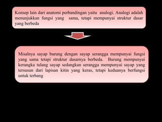 Konsep lain dari anatomi perbandingan yaitu analogi. Analogi adalah
menunjukkan fungsi yang sama, tetapi mempunyai struktur dasar
yang berbeda
Konsep lain dari anatomi perbandingan yaitu analogi. Analogi adalah
menunjukkan fungsi yang sama, tetapi mempunyai struktur dasar
yang berbeda
Misalnya sayap burung dengan sayap serangga mempunyai fungsi
yang sama tetapi struktur dasarnya berbeda. Burung mempunyai
kerangka tulang sayap sedangkan serangga mempunyai sayap yang
tersusun dari lapisan kitin yang keras, tetapi keduanya berfungsi
untuk terbang
Misalnya sayap burung dengan sayap serangga mempunyai fungsi
yang sama tetapi struktur dasarnya berbeda. Burung mempunyai
kerangka tulang sayap sedangkan serangga mempunyai sayap yang
tersusun dari lapisan kitin yang keras, tetapi keduanya berfungsi
untuk terbang
 