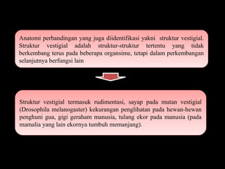 Anatomi perbandingan yang juga diidentifikasi yakni struktur vestigial.
Struktur vestigial adalah struktur-struktur tertentu yang tidak
berkembang terus pada beberapa organsime, tetapi dalam perkembangan
selanjutnya berfungsi lain
Anatomi perbandingan yang juga diidentifikasi yakni struktur vestigial.
Struktur vestigial adalah struktur-struktur tertentu yang tidak
berkembang terus pada beberapa organsime, tetapi dalam perkembangan
selanjutnya berfungsi lain
Struktur vestigial termasuk rudimentasi, sayap pada mutan vestigial
(Drosophila melanogaster) kekurangan penglihatan pada hewan-hewan
penghuni gua, gigi geraham manusia, tulang ekor pada manusia (pada
mamalia yang lain ekornya tumbuh memanjang).
Struktur vestigial termasuk rudimentasi, sayap pada mutan vestigial
(Drosophila melanogaster) kekurangan penglihatan pada hewan-hewan
penghuni gua, gigi geraham manusia, tulang ekor pada manusia (pada
mamalia yang lain ekornya tumbuh memanjang).
 