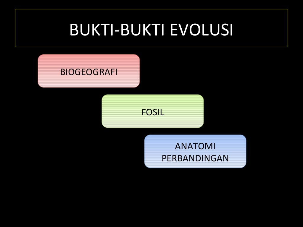 Bukti evolusi