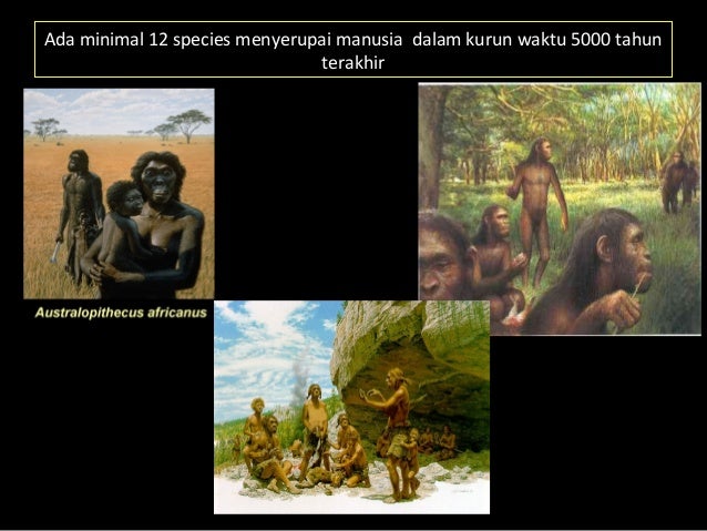 Bukti evolusi