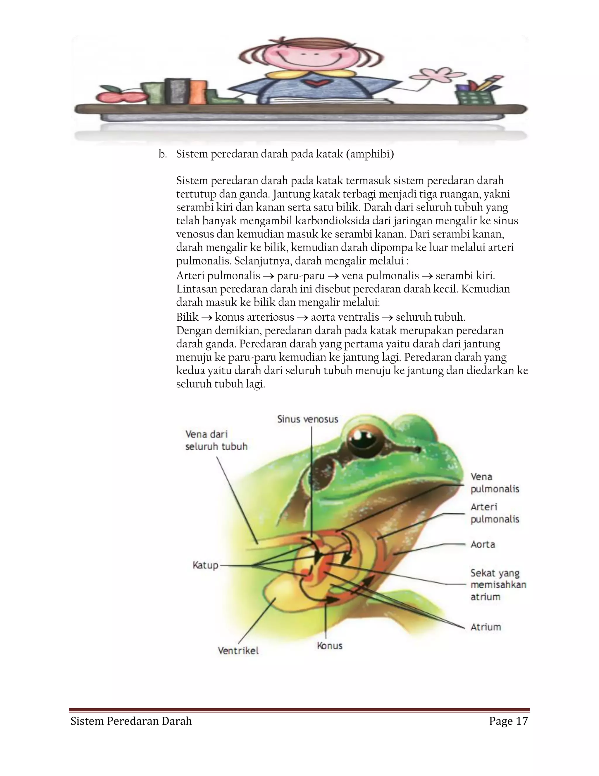 Organ peredaran darah pada hewan katak adalah