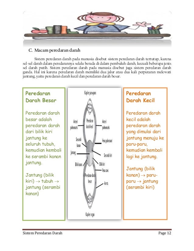 SISTEM PEREDARAN DARAH PADA MANUSIA DAN HEWAN