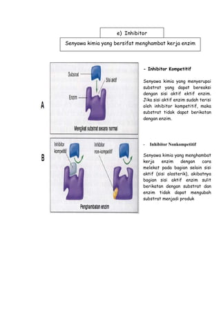 - Inhibitor Kompetitif
Senyawa kimia yang menyerupai
substrat yang dapat bereaksi
dengan sisi aktif ektif enzim.
Jika sisi aktif enzim sudah terisi
oleh inhibitor kompetitif, maka
substrat tidak dapat berikatan
dengan enzim.
- Inhibitor Nonkompetitif
Senyawa kimia yang menghambat
kerja enzim dengan cara
melekat pada bagian selain sisi
aktif (sisi alosterik), akibatnya
bagian sisi aktif enzim sulit
berikatan dengan substrat dan
enzim tidak dapat mengubah
substrat menjadi produk
Senyawa kimia yang bersifat menghambat kerja enzim
e) Inhibitor
 