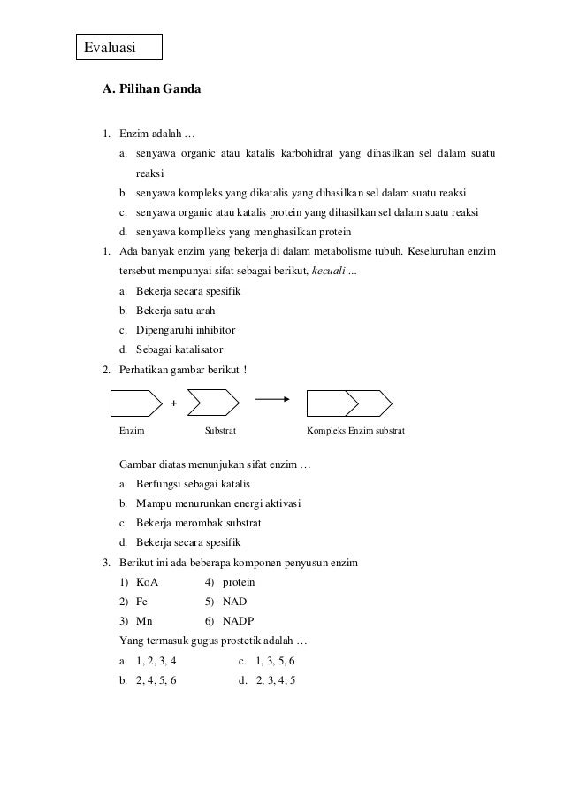 Kumpulan Soal Pilihan Ganda Biologi Kelas 12 Reaksi Enzim Kumpulan Soal Pilihan Ganda Biologi Kelas 12 Reaksi Enzim
