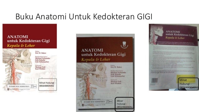 Buku Anatomi Tubuh Manusia Download Buku Anatomi Tubuh Manusia Pdf 0