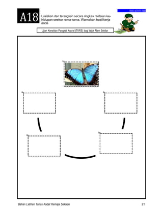 Bahan Latihan Tunas Kadet Remaja Sekolah 21
A18
Ujian Kenaikan Pangkat Kopral (TKRS) bagi tajuk Alam Sekitar
BUKU AKTIVITI TKRS
Lukiskan dan terangkan secara ringkas rantaian ke-
hidupan seekor rama-rama. Warnakan hasil kerja
anda
 