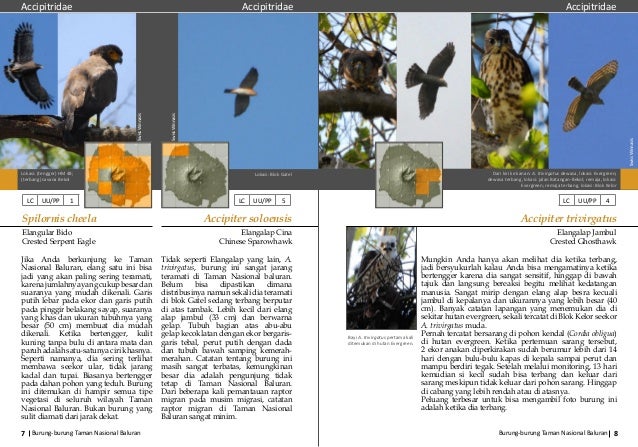 Buku Burung Baluran 2