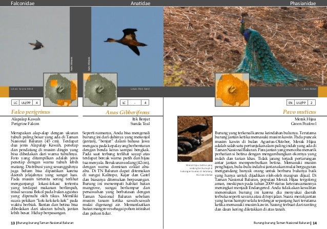 Buku Burung Baluran 2