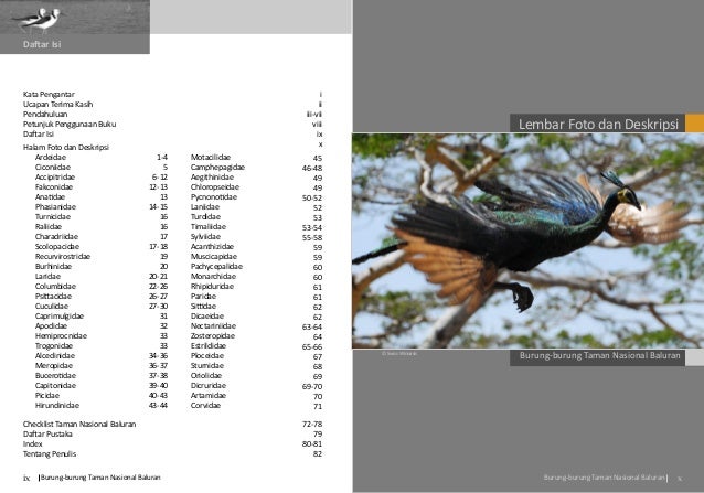Buku Burung Baluran 2
