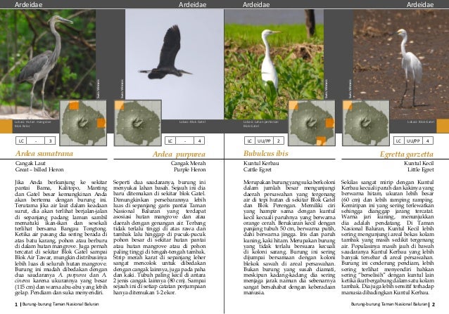 Buku Burung Baluran 2