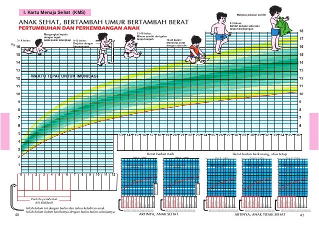  Buku  kesehatan ibu dan anak