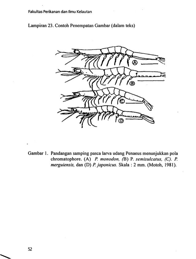 Buku Pedomanpenulisanbukuskripsi1