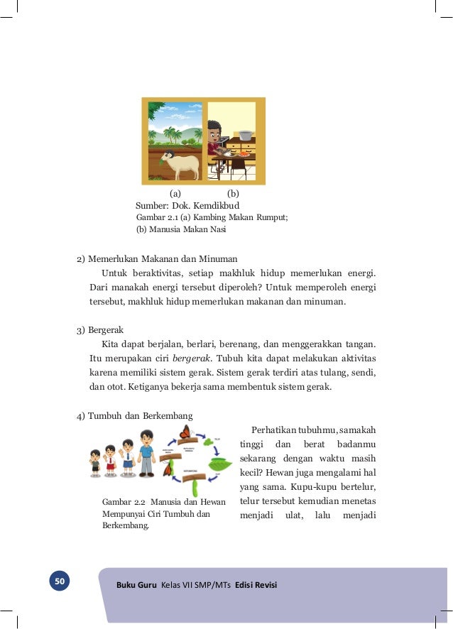 Buku Pegangan Guru IPA SMP/MTs Kelas 7 Kurikulum 2013 