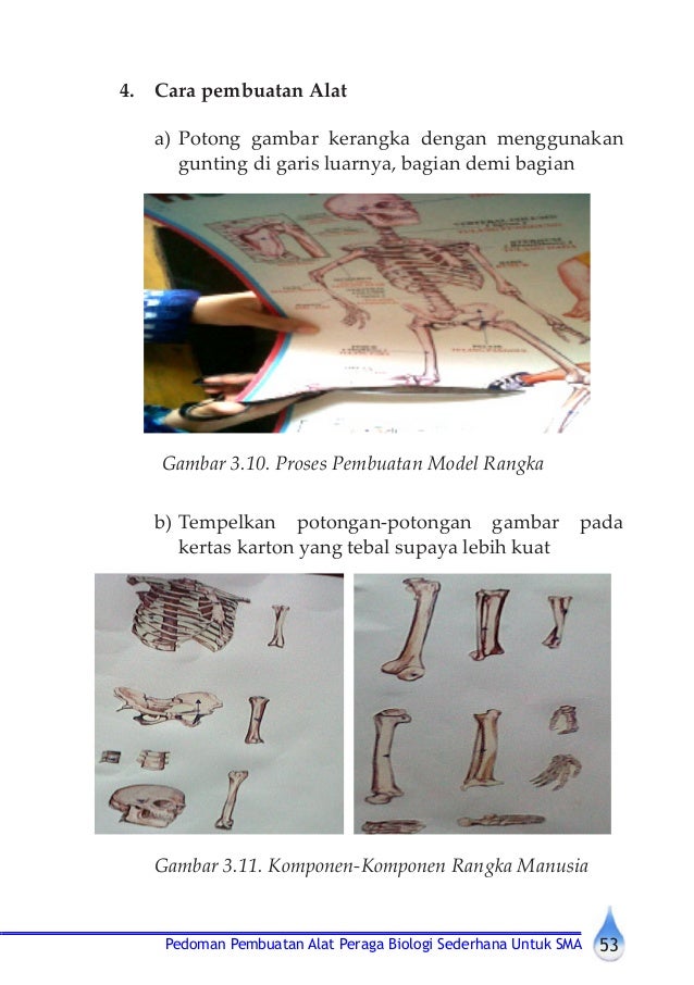 Buku alat peraga biologi Buku alat peraga biologi