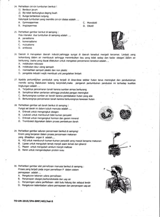 24. Pefhatikan ciri-ciri tumbuhan berikut !
1) Berdaun jarum
2) Biji tidak berbungkus daging buah
3) Bunga berbentuk runju...
